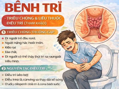 Liều thuốc điều trị bệnh trĩ Liều thuốc điều trị bệnh trĩ
