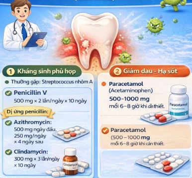 Liều thuốc giúp điều trị Viêm họng do vi khuẩn Liều thuốc giúp điều trị Viêm họng do vi khuẩn