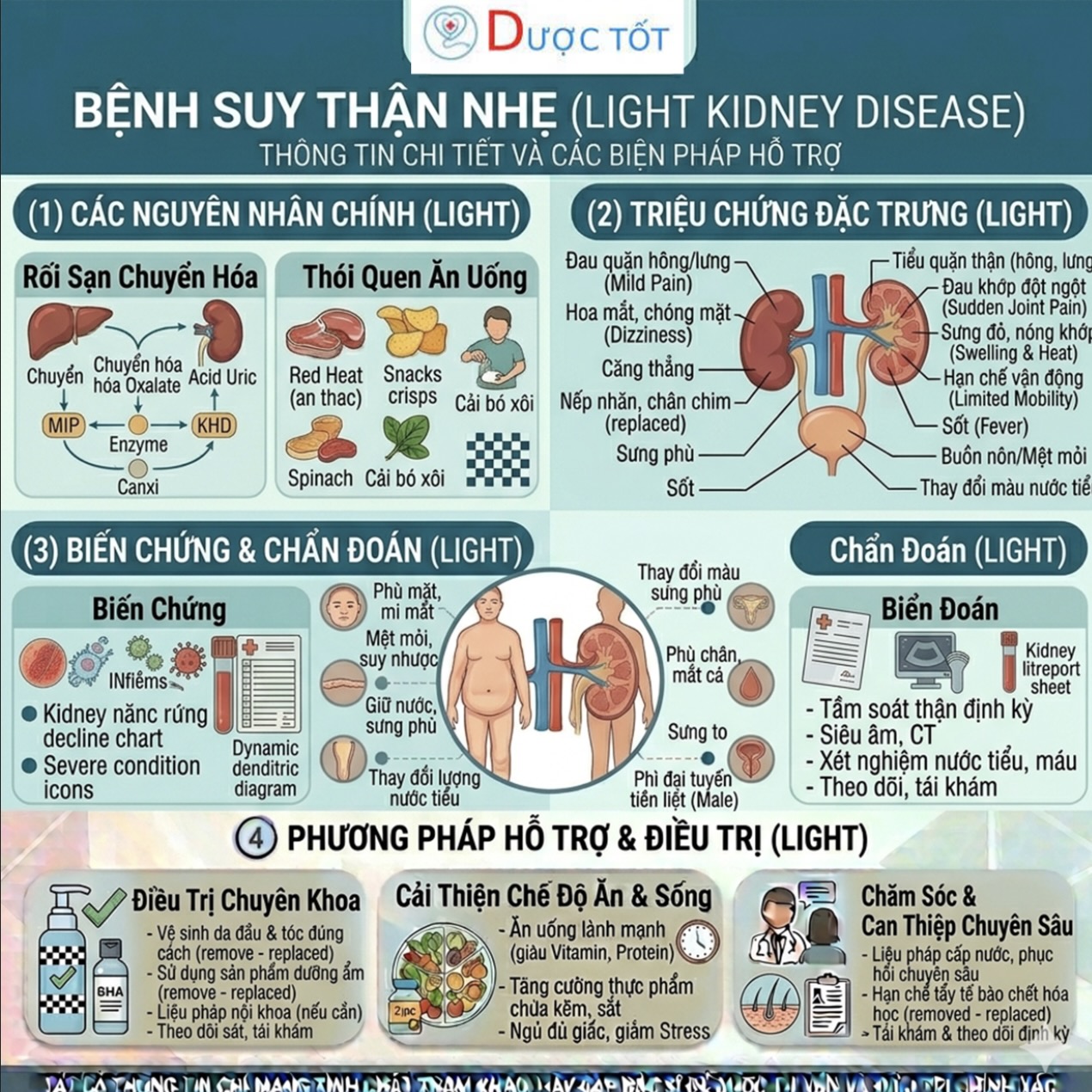 SUY THẬN NHẸ – CHĂM SÓC ĐÚNG CÁCH ĐỂ LÀM CHẬM TIẾN TRIỂN SUY THẬN NHẸ – CHĂM SÓC ĐÚNG CÁCH ĐỂ LÀM CHẬM TIẾN TRIỂN