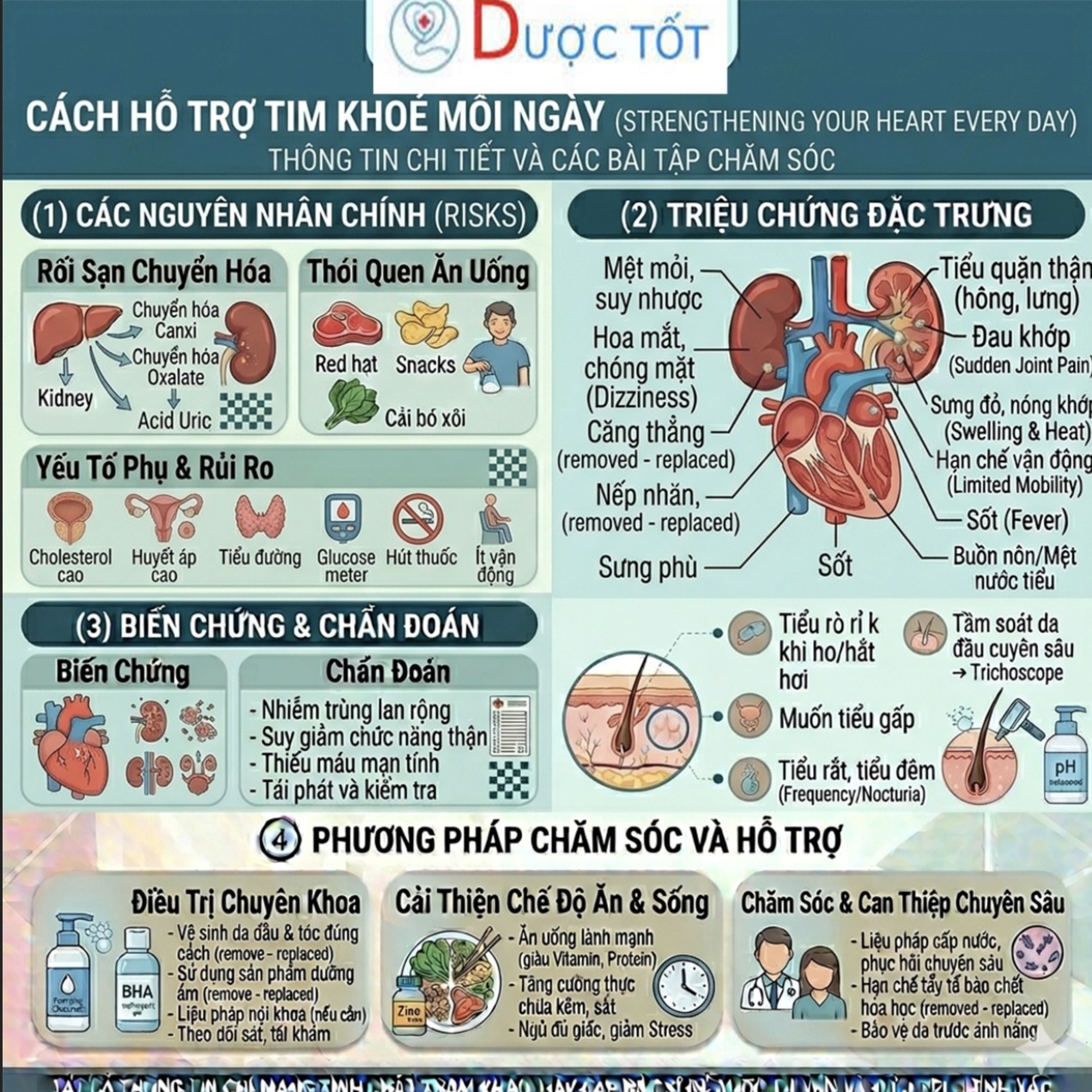 CÁCH HỖ TRỢ TIM KHỎE MỖI NGÀY