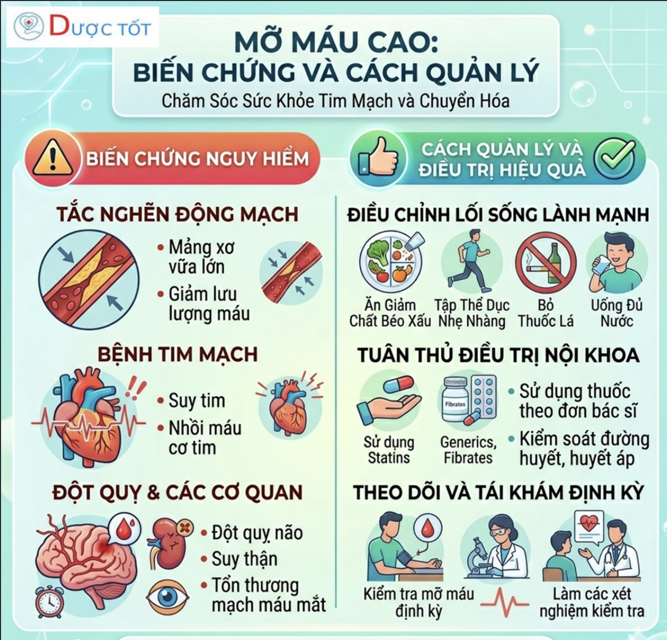 MỠ MÁU CAO – CÁCH HẠ NHANH & AN TOÀN