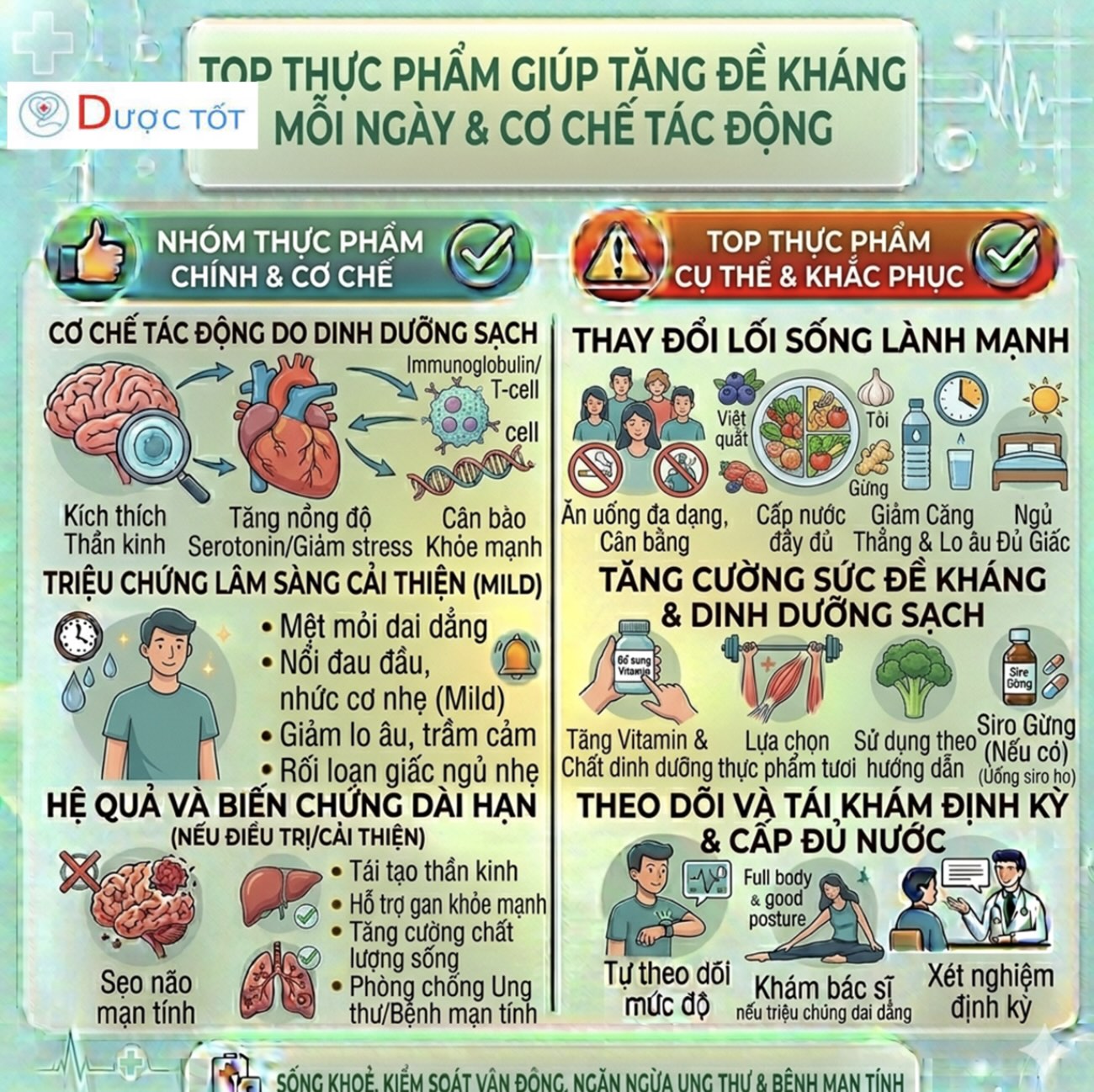 TOP THỰC PHẨM GIÚP TĂNG ĐỀ KHÁNG MỖI NGÀY