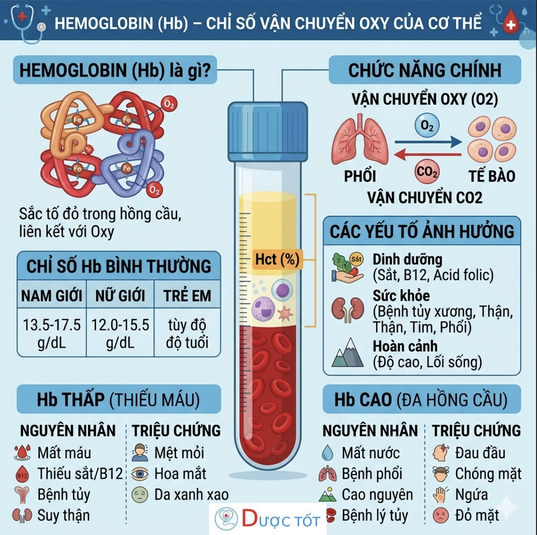 HEMOGLOBIN (Hb) – CHỈ SỐ VẬN CHUYỂN OXY CỦA CƠ THỂ