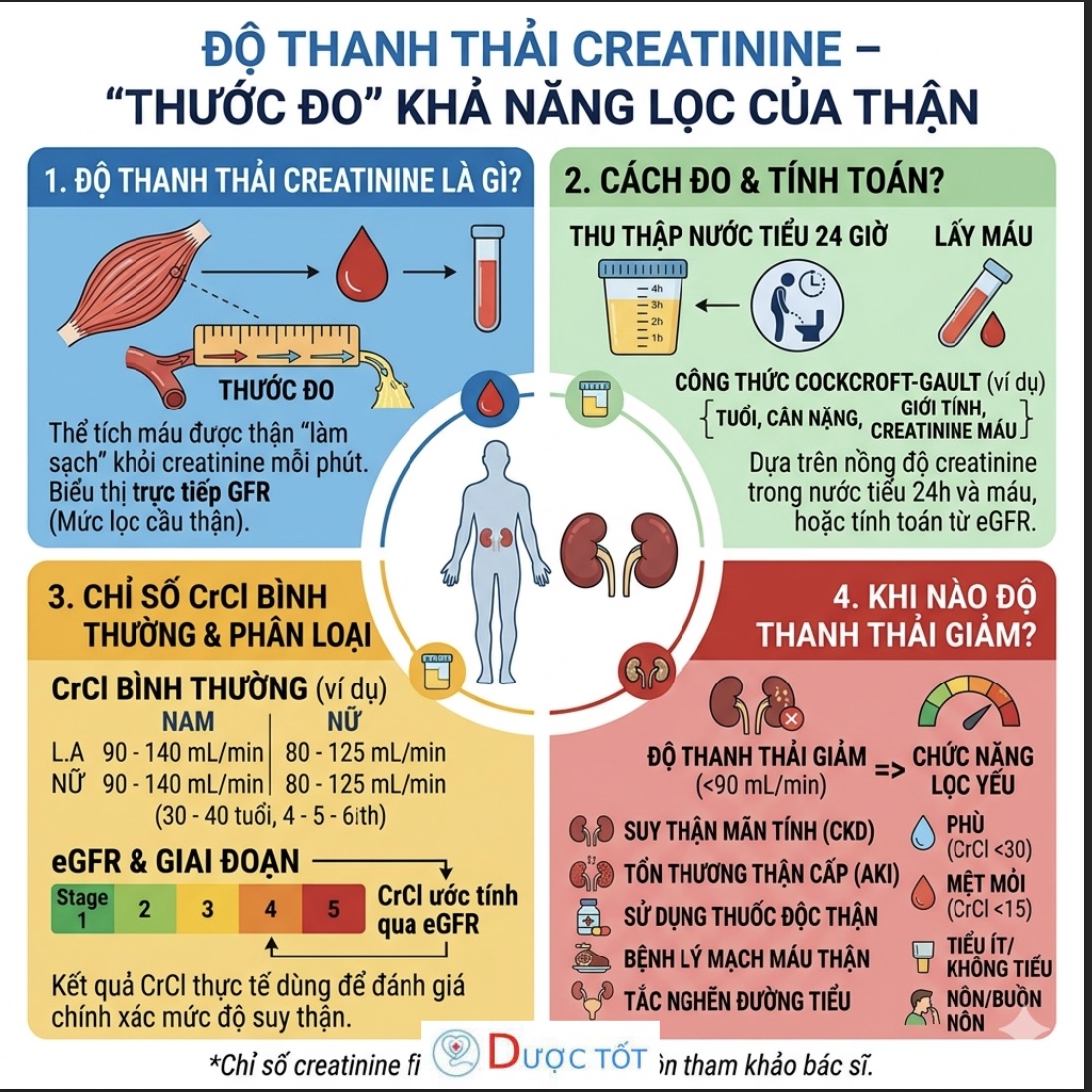 ĐỘ THANH THẢI CREATININE – “THƯỚC ĐO” KHẢ NĂNG LỌC CỦA THẬN