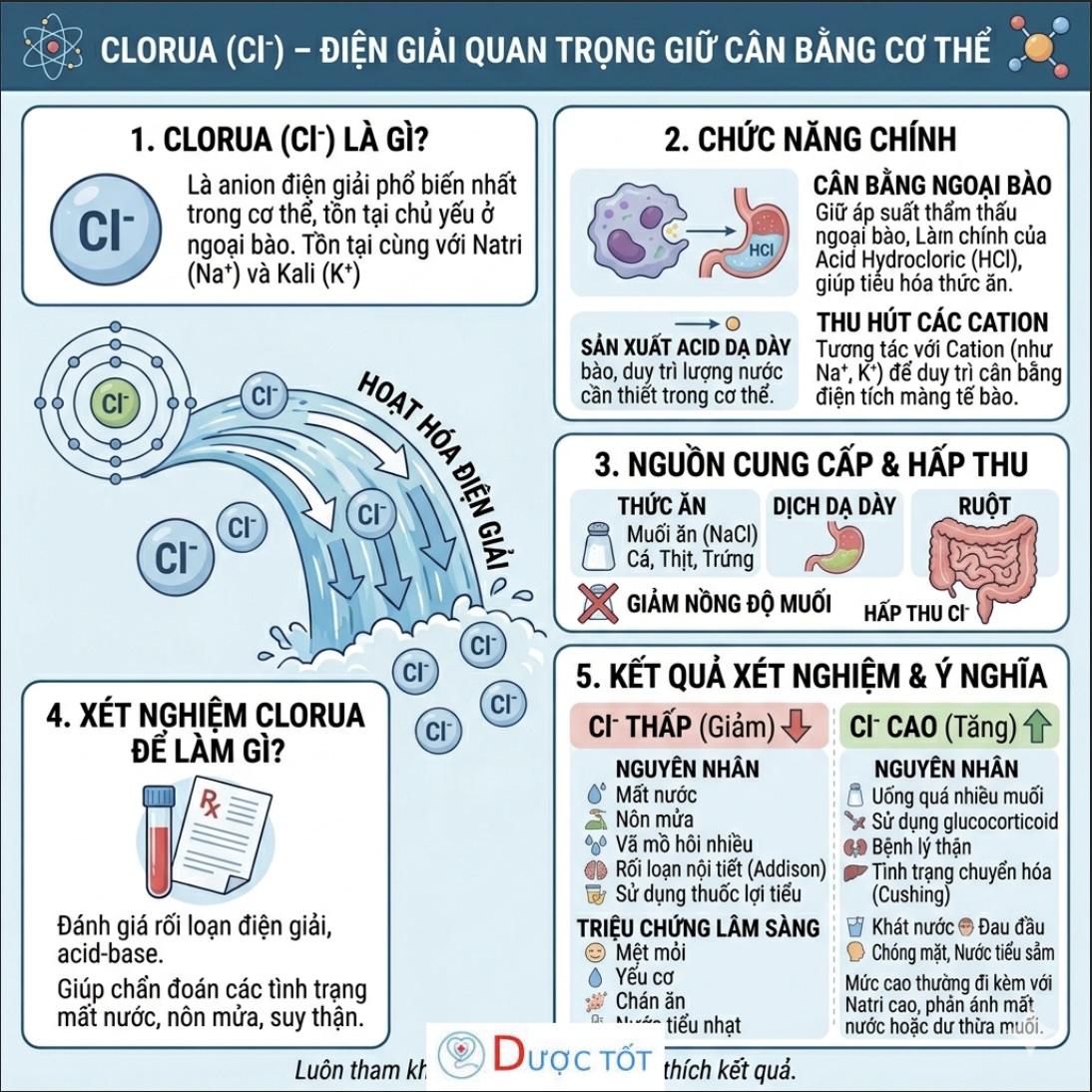CLORUA (Cl⁻) – ĐIỆN GIẢI QUAN TRỌNG GIỮ CÂN BẰNG CƠ THỂ
