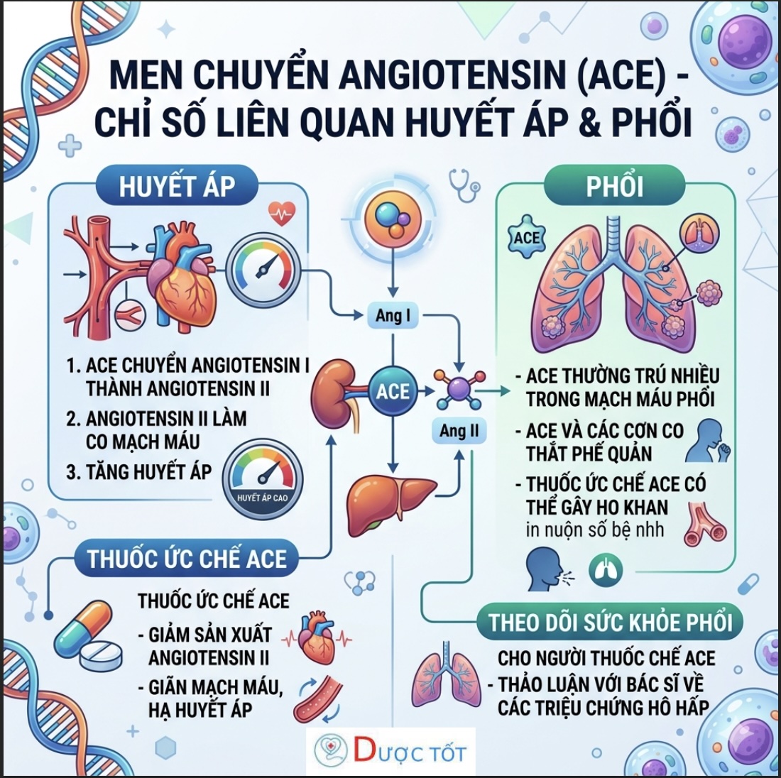 MEN CHUYỂN ANGIOTENSIN (ACE) – CHỈ SỐ LIÊN QUAN HUYẾT ÁP & PHỔI