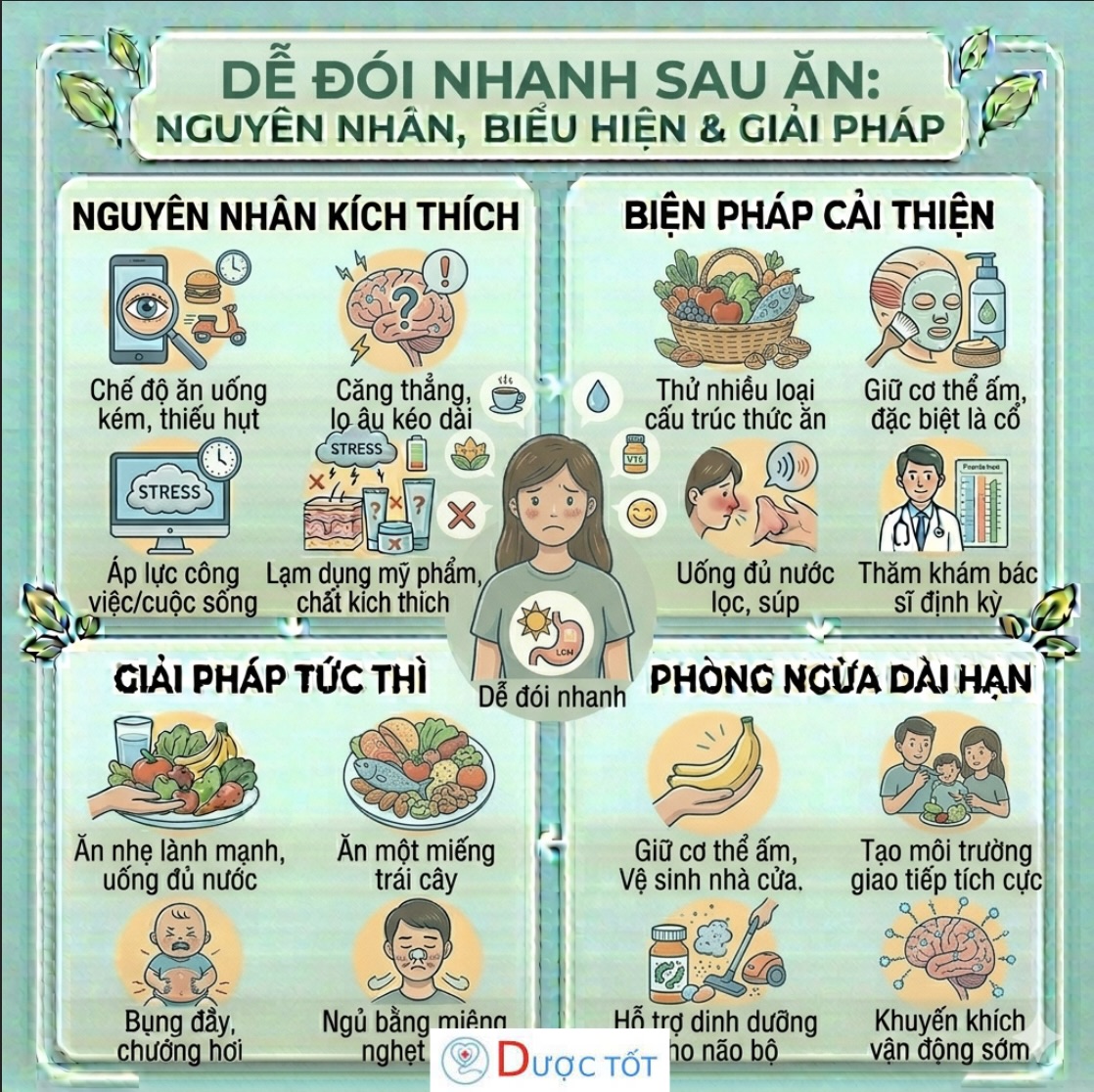 DỄ ĐÓI NHANH SAU ĂN – DẤU HIỆU CƠ THỂ MẤT CÂN BẰNG DINH DƯỠNG
