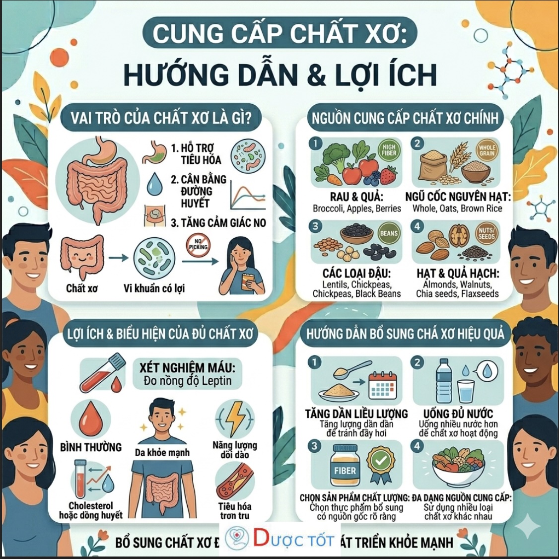 Cung cấp chất xơ cho cơ thể