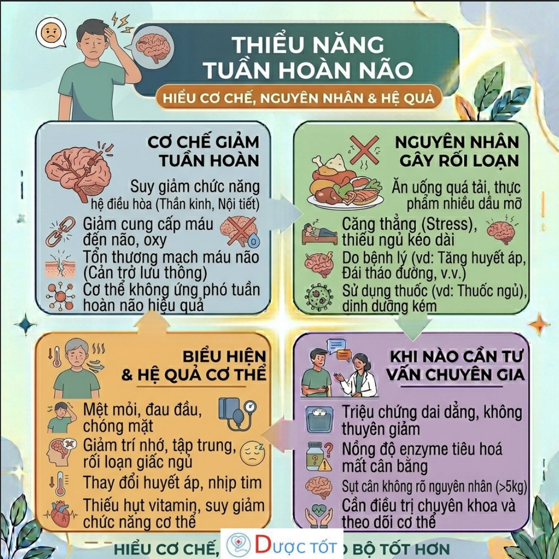 Thiểu năng tuần hoàn não – Nguyên nhân phổ biến gây chóng mặt, đau đầu, suy giảm trí nhớ