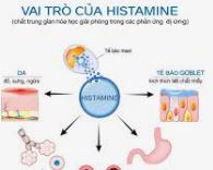Nhạy cảm Histamine- Nguyên nhân ẩn sau nhiều triệu chứng khó hiểu
