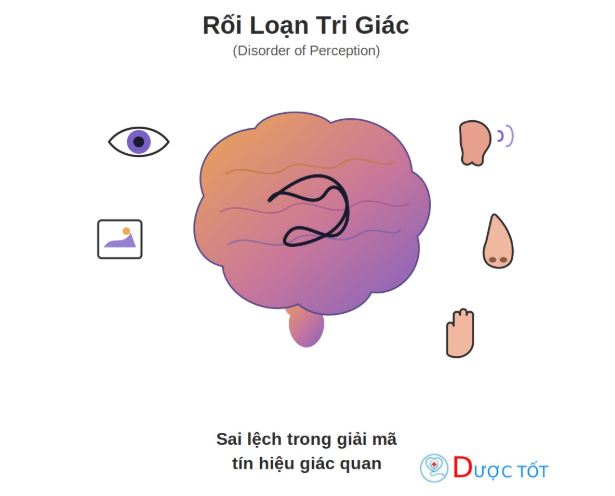 Rối loạn tri giác: Ảo tưởng, ảo giác và cách phân biệt