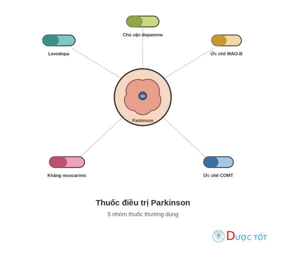 Các nhóm thuốc điều trị Parkinson thường dùng