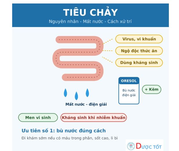 Tiêu chảy: nguyên nhân, cách bù nước và dùng thuốc đúng