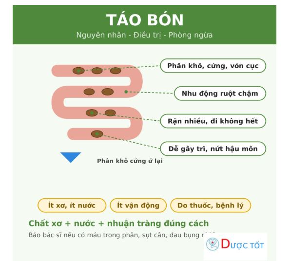 Táo bón: nguyên nhân, cách điều trị và dùng thuốc an toàn