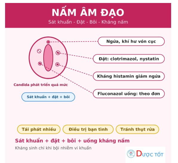 Nấm âm đạo: nguyên nhân, cách điều trị và phòng tái phát
