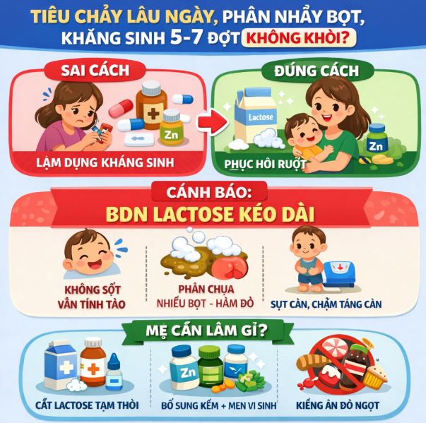 Liều thuốc điều trị rối loạn tiêu hóa ở trẻ kéo dài, dùng kháng sinh nhiều lần không khỏi 