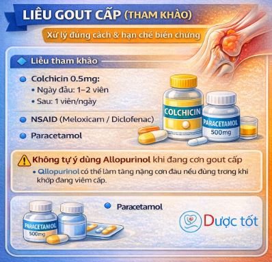Liều Gout Cấp (Tham Khảo) Xử Trí Đúng Cách Để Giảm Đau Và Tránh Biến Chứng