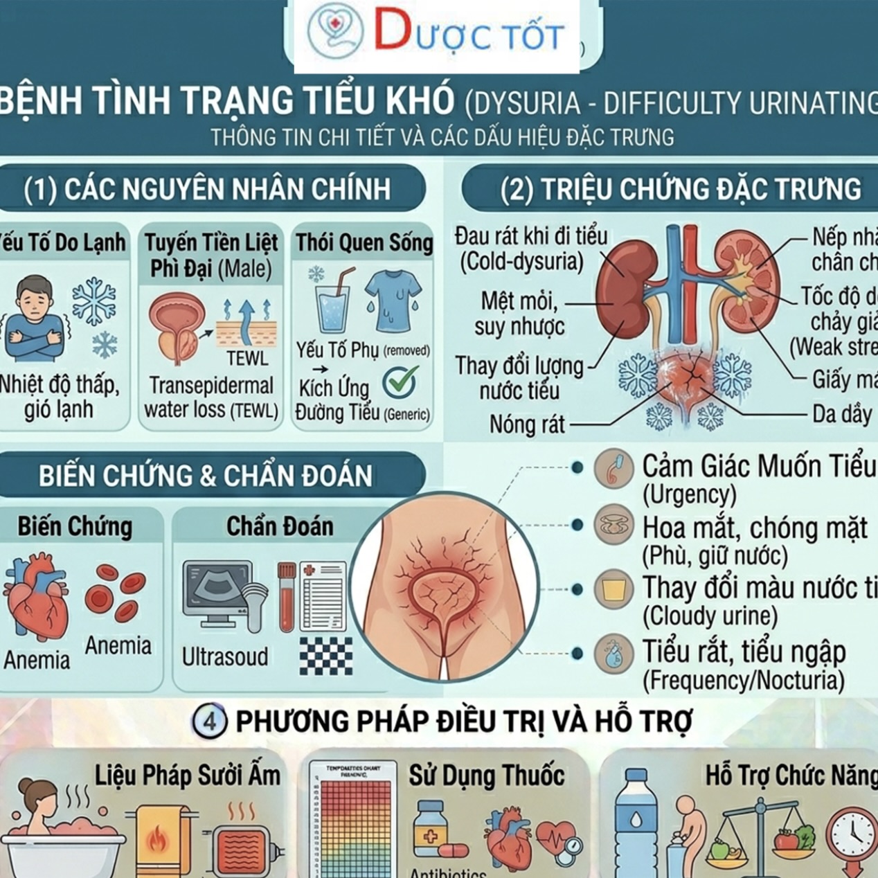 TÌNH TRẠNG TIỂU KHÓ – PHÌ ĐẠI TUYẾN TIỀN LIỆT
