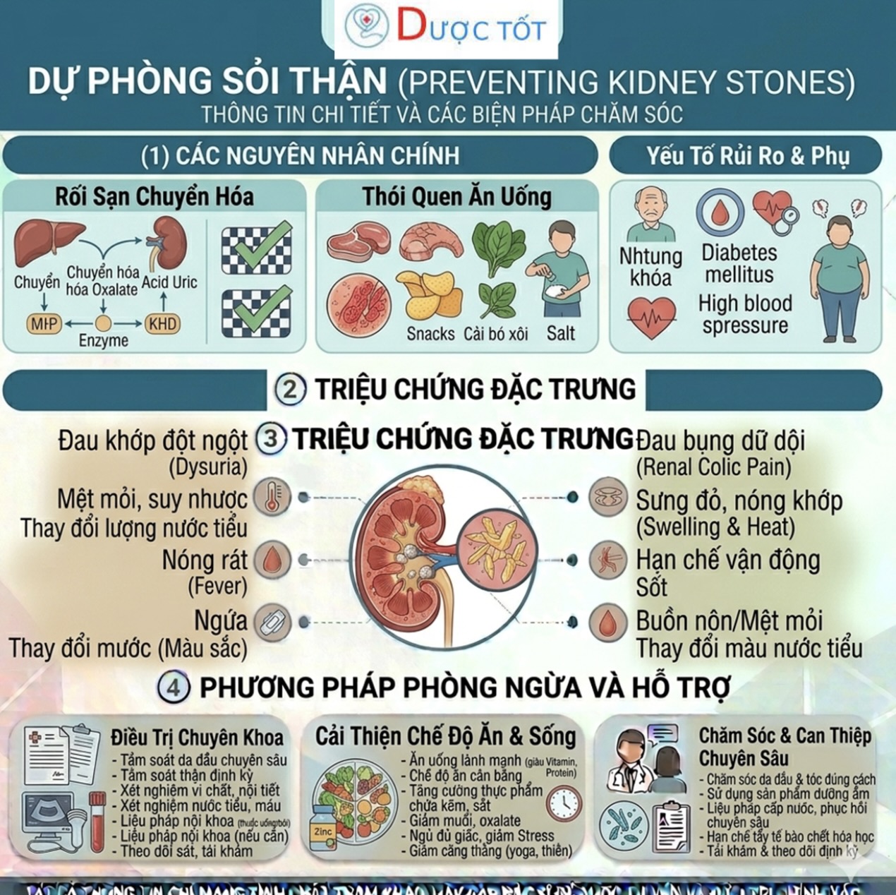 DỰ PHÒNG SỎI THẬN – NGĂN NGỪA TỪ SỚM