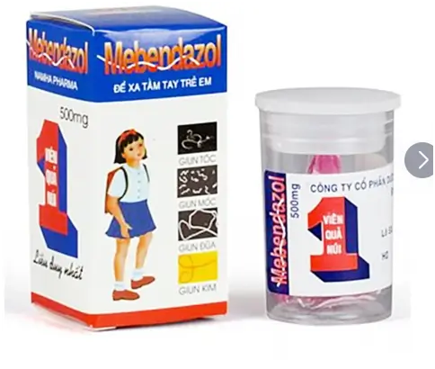 Viên nhai Mebendazol 500mg Nam Hà điều trị các loại giun tròn (1 viên)