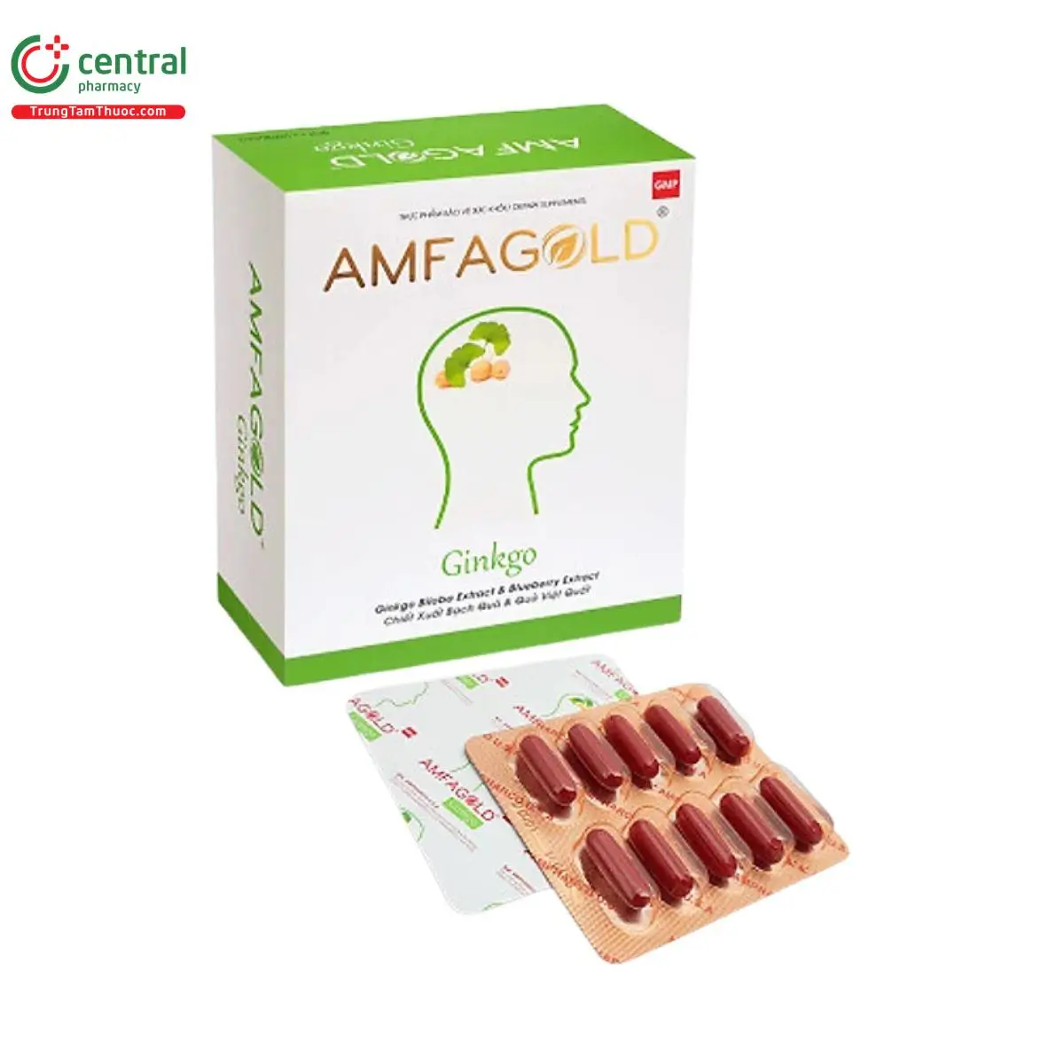 Amfagold Ginkgo hỗ trợ tăng cường trí nhớ, cải thiện tuần hoàn não và chức năng nhận thức