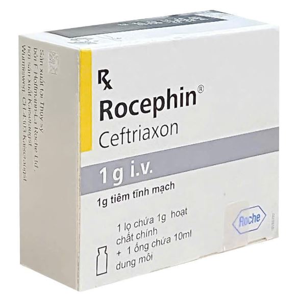 Thuốc Rocephin điều trị nhiễm khuẩn