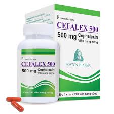 Cefalex 500 giúp điều trị hiệu quả các nhiễm khuẩn thường gặp