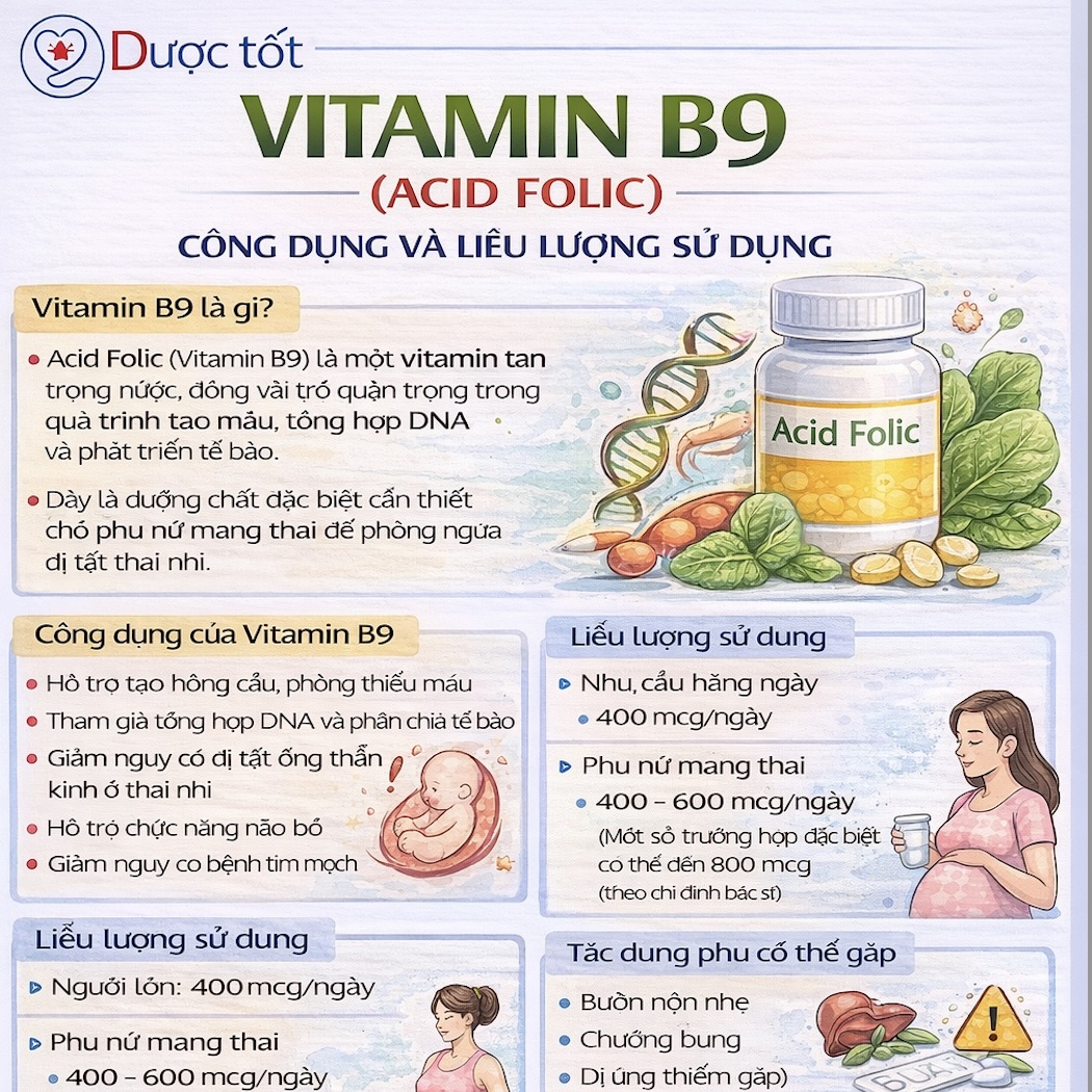 Bổ sung Acid Folic (Vitamin B9) 