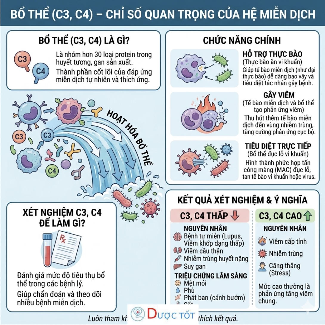 BỔ THỂ (C3, C4) – CHỈ SỐ QUAN TRỌNG CỦA HỆ MIỄN DỊCH