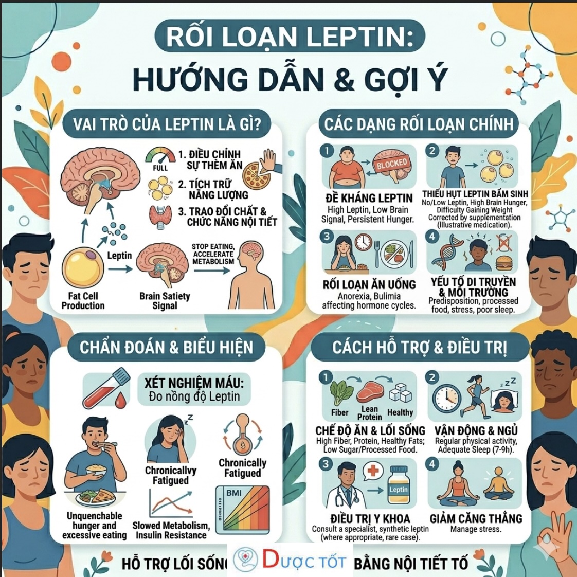 Rối loạn leptin(hormone đói)- Vì sao bạn luôn thèm ăn