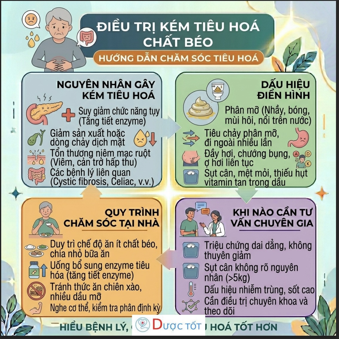 Điều trị kém tiêu hoá chất béo