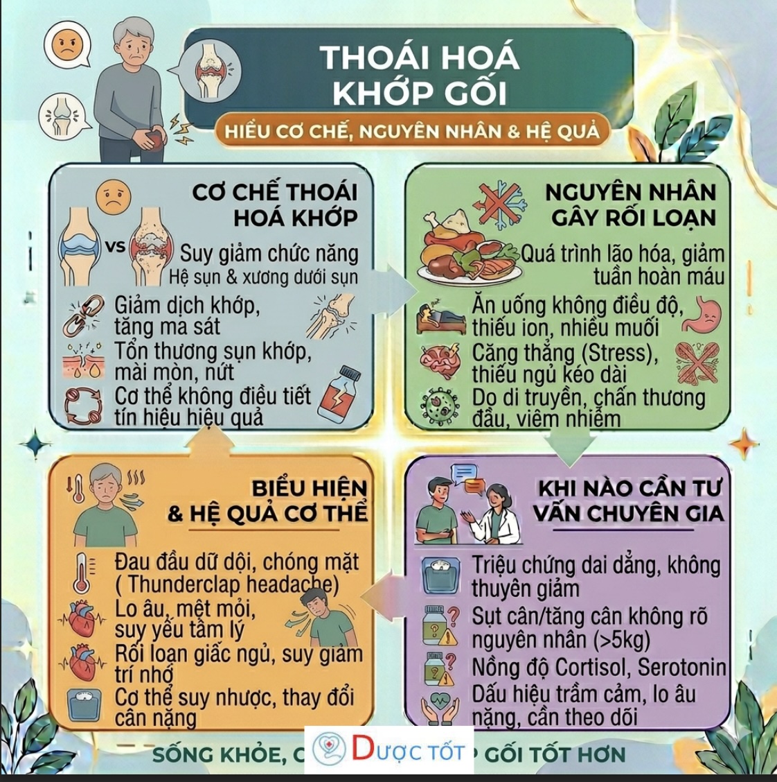 Thoái hoá khớp gối – Nguyên nhân gây đau nhức, khó vận động ở người lớn tuổi