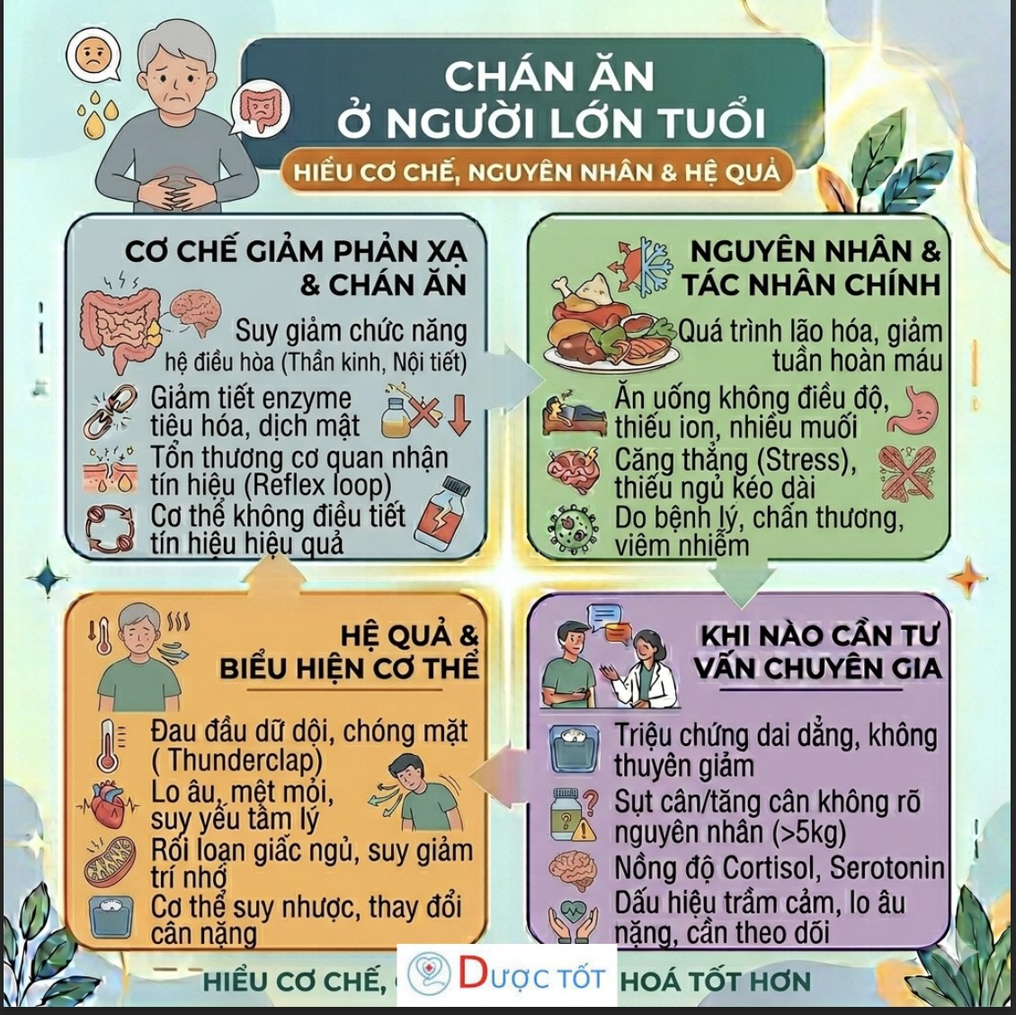 Chán ăn ở người lớn tuổi – Dấu hiệu cảnh báo suy giảm dinh dưỡng cần chú ý
