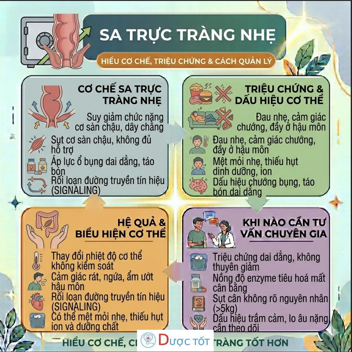 Sa trực tràng nhẹ – Tình trạng lòi nhẹ niêm mạc khi đi tiêu cần xử lý sớm