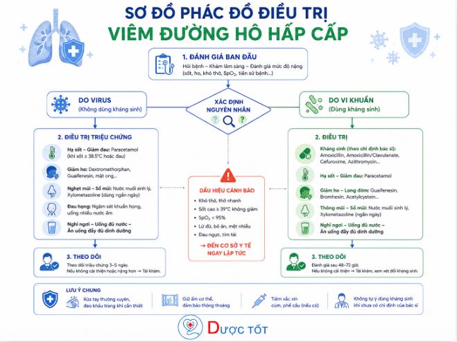 Phác đồ điều trị viêm đường hô hấp cấp do virus và vi khuẩn