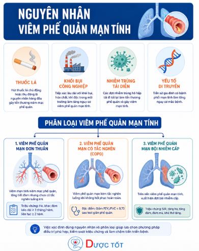 Nguyên nhân và phân loại viêm phế quản mạn tính