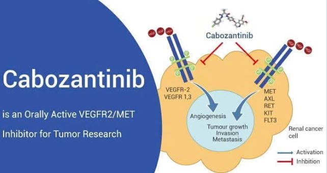 Thuốc Cazanat điều trị ung thư Thuốc Cazanat điều trị ung thư