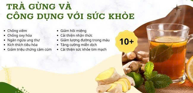 Trà gừng và công dụng đối với sức khỏe Trà gừng và công dụng đối với sức khỏe