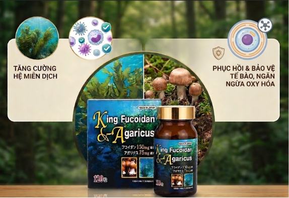 Công dụng King Fucoidan Agaricus Công dụng King Fucoidan Agaricus