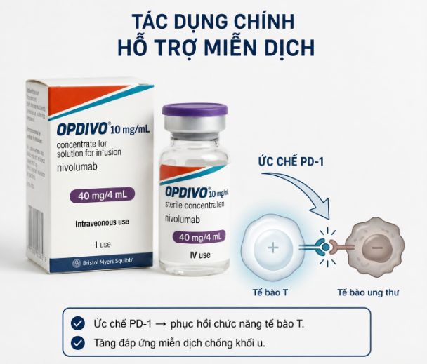 Tác dụng của thuốc OPDIVO 40mg/4ml Tác dụng của thuốc OPDIVO 40mg/4ml