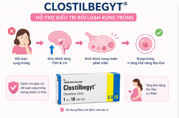 công dụng của thuốc Clostilbegyt 50mg