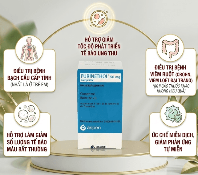 Công dụng PuriNethol 50mg