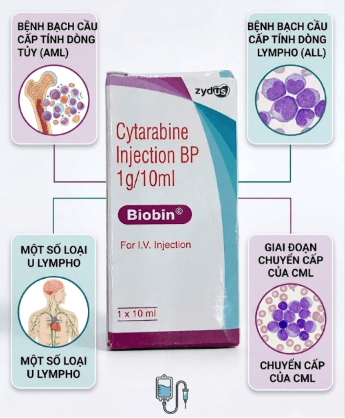 Công dụng Biobin 1g/10ml