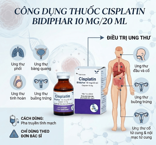 Hình minh hoạ công dụng của thuốc Cisplatin Bidiphar 10mg/20ml