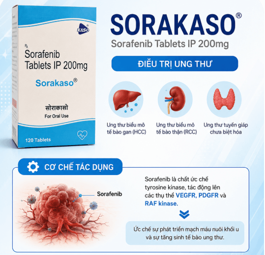 Sorakaso 200mg điều trị ung thư gan, thận, tuyến giáp