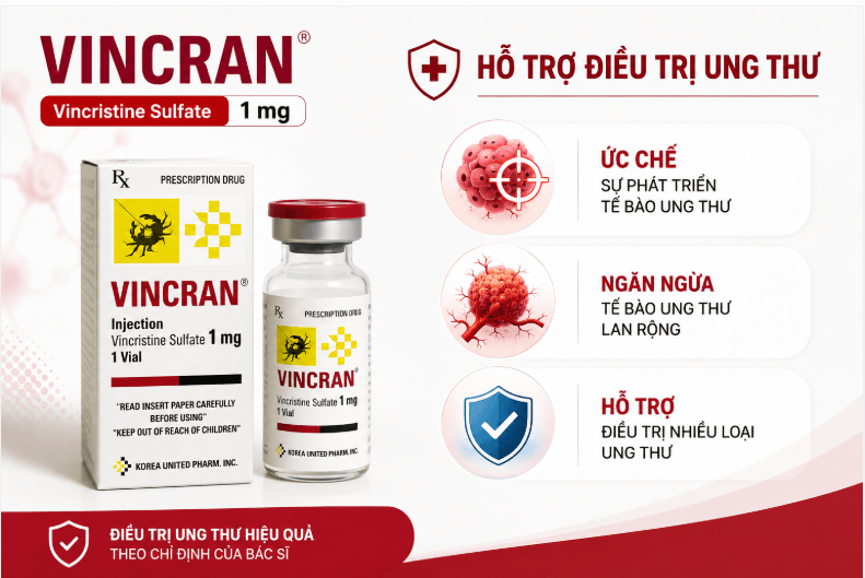Thuốc Vincran 1mg/ml điều trị ung thư Thuốc Vincran 1mg/ml điều trị ung thư