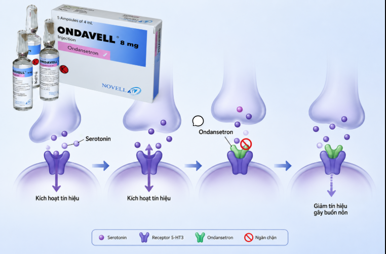 Hình minh họa cơ chế tác dụng của Ondavell 8mg (Ondansetron) chẹn thụ thể 5-HT3 chống buồn nôn và nôn