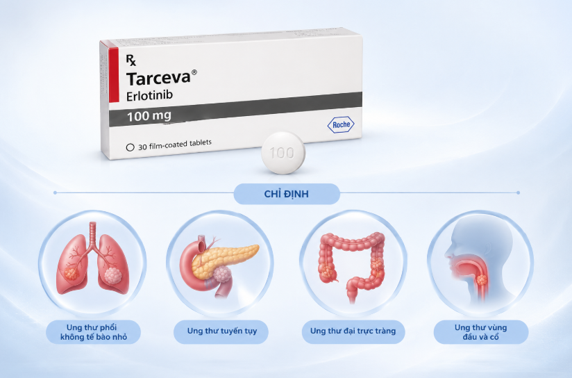 Hình minh họa chỉ định của Tarceva 100mg (Erlotinib) trong điều trị ung thư phổi không tế bào nhỏ có đột biến EGFR và ung thư tụy tiến triển