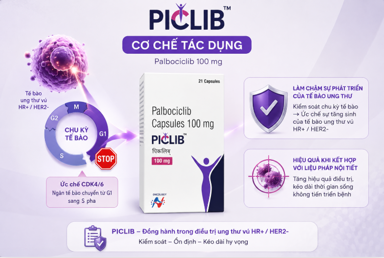 Piclib 100mg điều trị ung thư vú tiến triển