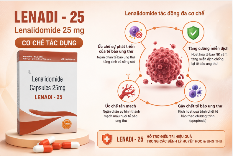 Lenadi 25mg điều trị đa u tủy, u lympho tế bào nhỏ